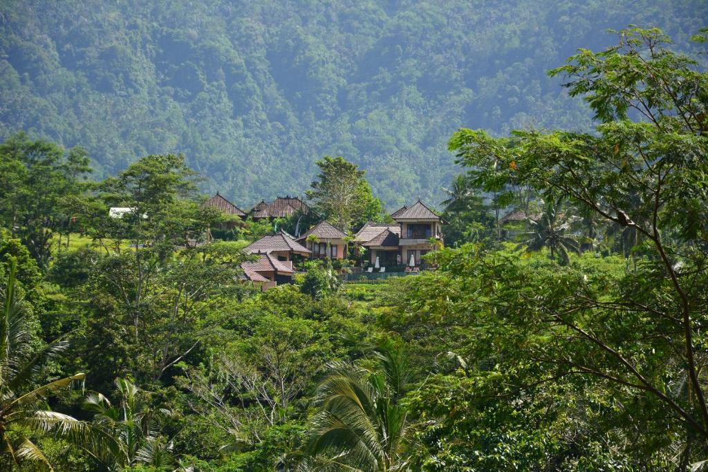 Arta Nadi Sidemen (Bali)